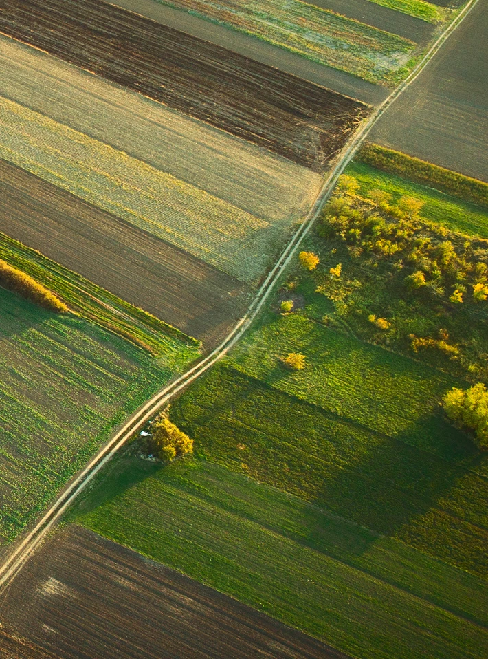 Areal of farm and trees.  