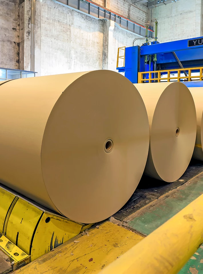 Finished paper rolls in pulp and paper mill. 