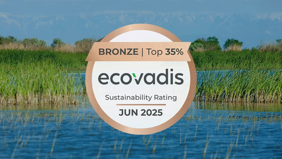 2025 EcoVadis Sustainability Rating bronze medal award.